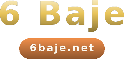 6 Baje logo